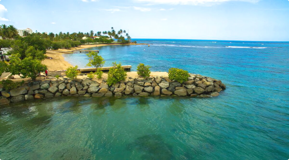 Le migliori offerte di noleggio auto a Dorado